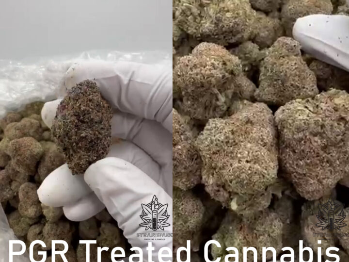 The Dangers of Plant Growth Regulators (PGR) in the Cannabis Industry: Identification and Alternatives