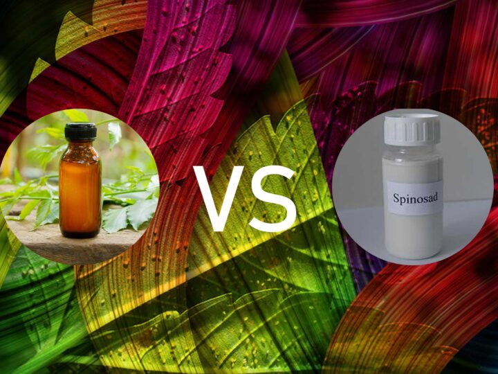 Neem Oil vs. Spinosad for Pest Control: A Comparative Overview